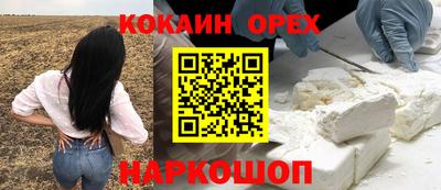 spice Новозыбков