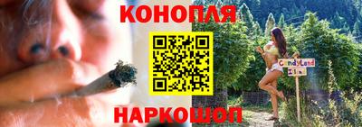гидра Новодвинск