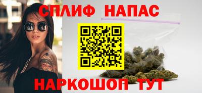 гидра Новодвинск