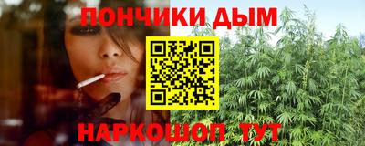 гидра Новодвинск
