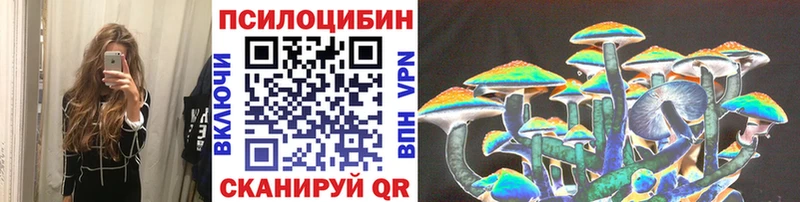 Купить закладки  Ревда  Галлюциногенные грибы Psilocybine cubensis 