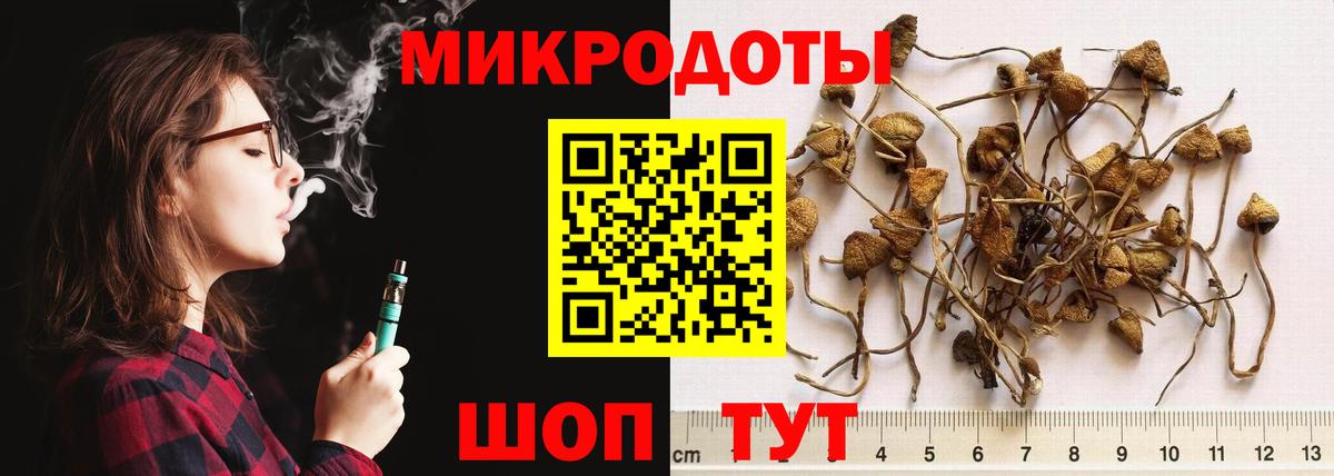 Псилоцибиновые грибы Magic Shrooms Ревда